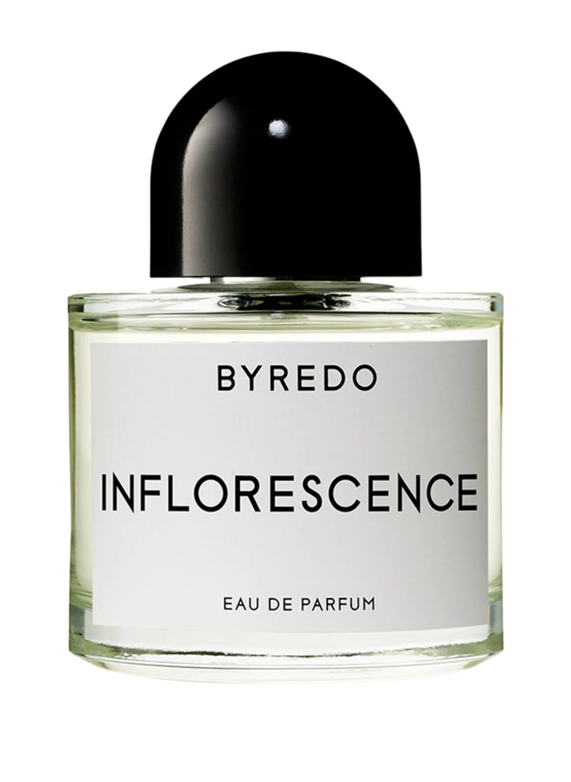 BYREDO INFLORESCENCE