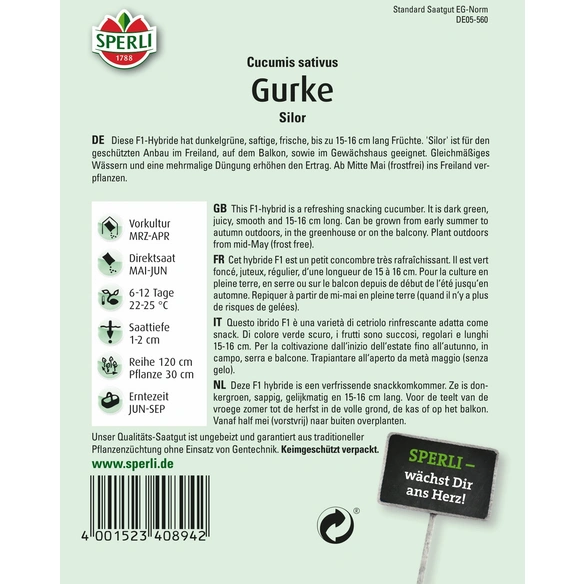 Salatgurke »Silor«, saftige, bitterfreie, reinweibliche Mini-Snackgurke