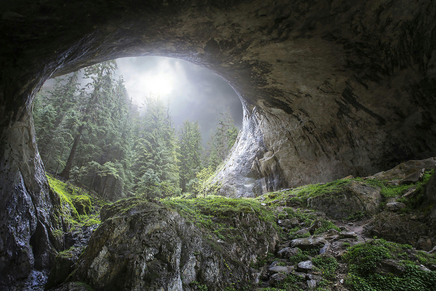 - Tableau coup d'oeil au paradis imprimé sur alu 90x60cm
