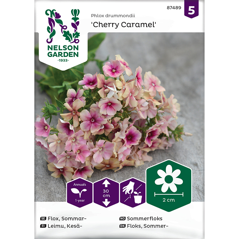 Sommarflox 'Cherry Caramel'