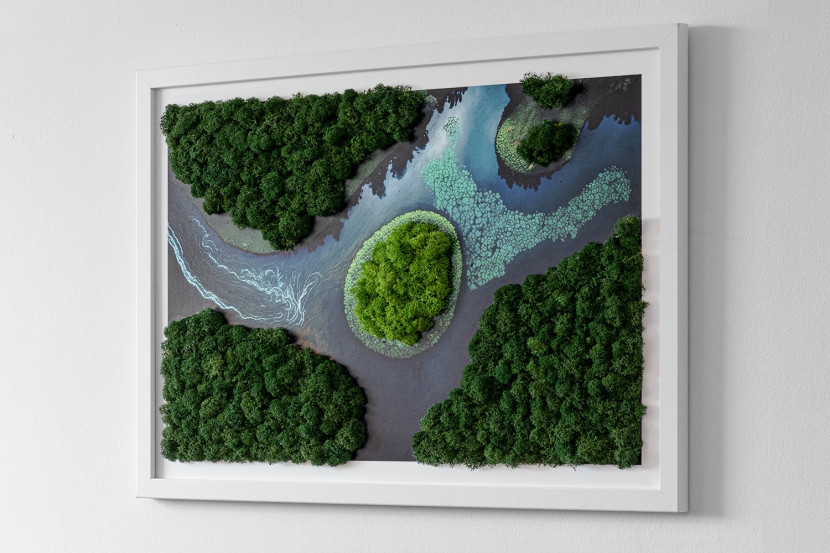 Obraz z mchem - Wyspa na rozlewisku 60x40 cm Biała Rama