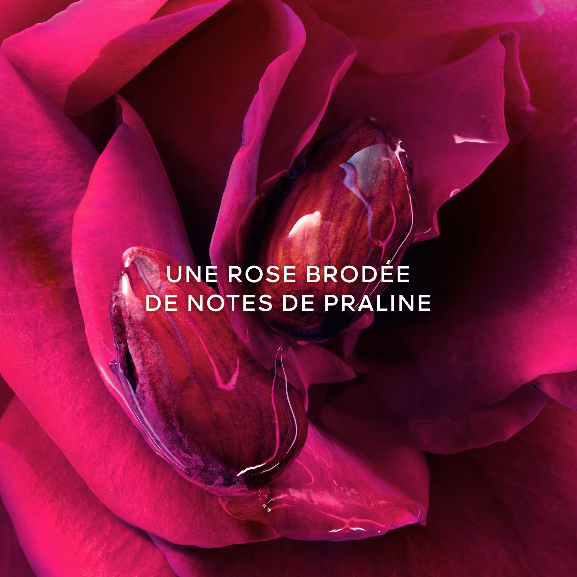 LA PETITE ROBE NOIRE - LE PARFUMParfum