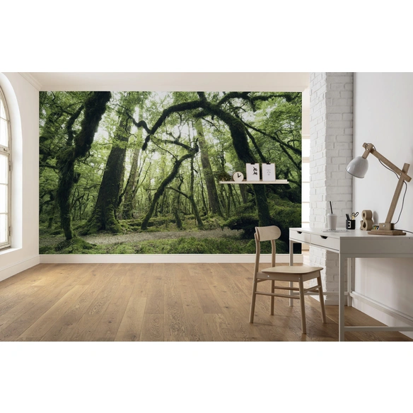Vliestapete »Ancient Green «, Breite 450 cm, seidenmatt