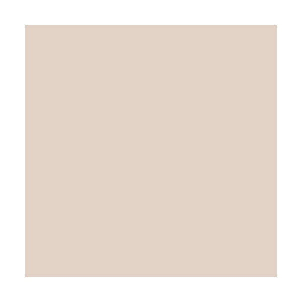 Badigeon à la chaux intérieur extérieur - BADIPLUS Calvi Beige Rosé - 2.5 kg (jusqu'à 12.5 m²) - ARCANE INDUSTRIES