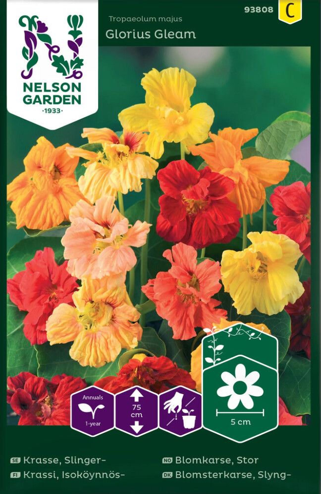BLOMSTERFRØ NELSON GARDEN STOR BLOMKARSE GLORIUS GLEAM