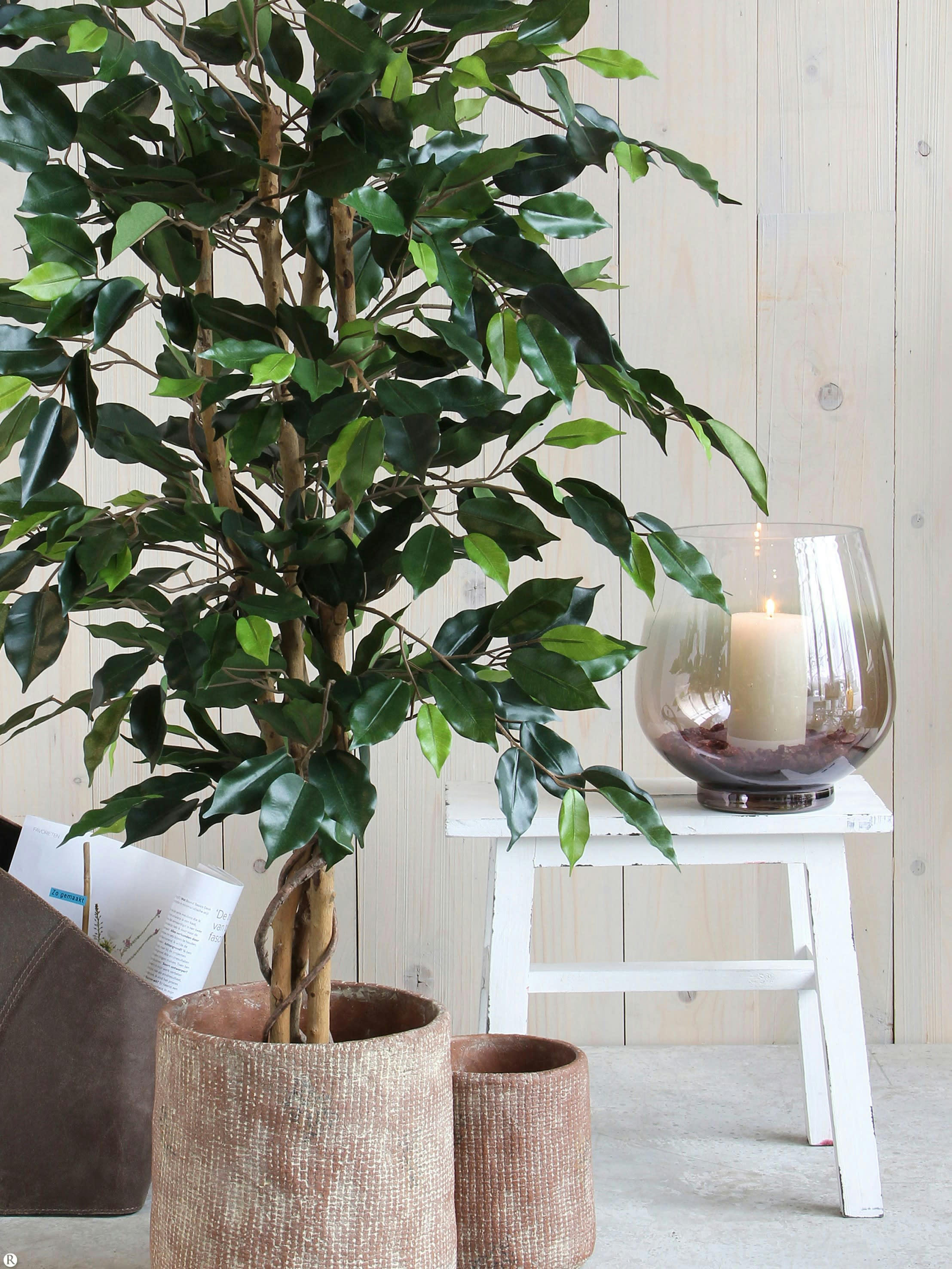 - Ficus artificielle vert en pot H150