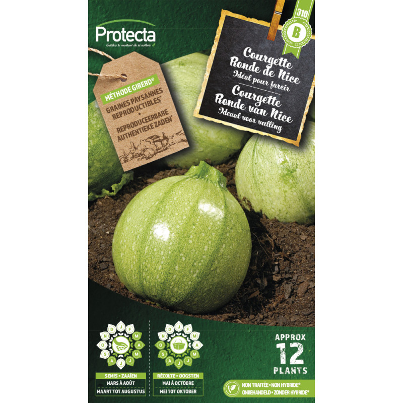 Semences de courgette Ronde de Nice PROTECTA