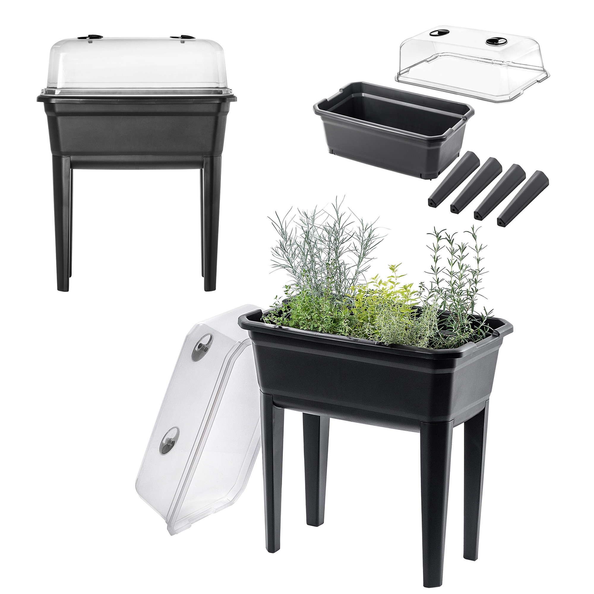Kadax Mini Szklarnia Stojąca Duża Rozsadnik 60cm