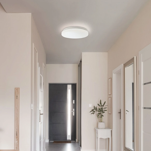 Deckenleuchte »FARICA«, 1-flammig, 18 W, 4000 K, Ø 310 mm, IP 20