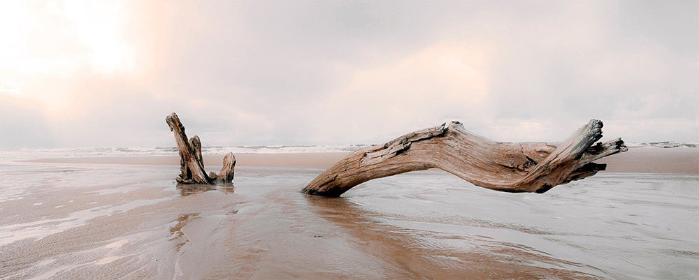 Art for the Home Canvas - Drijfhout - 40x100cm