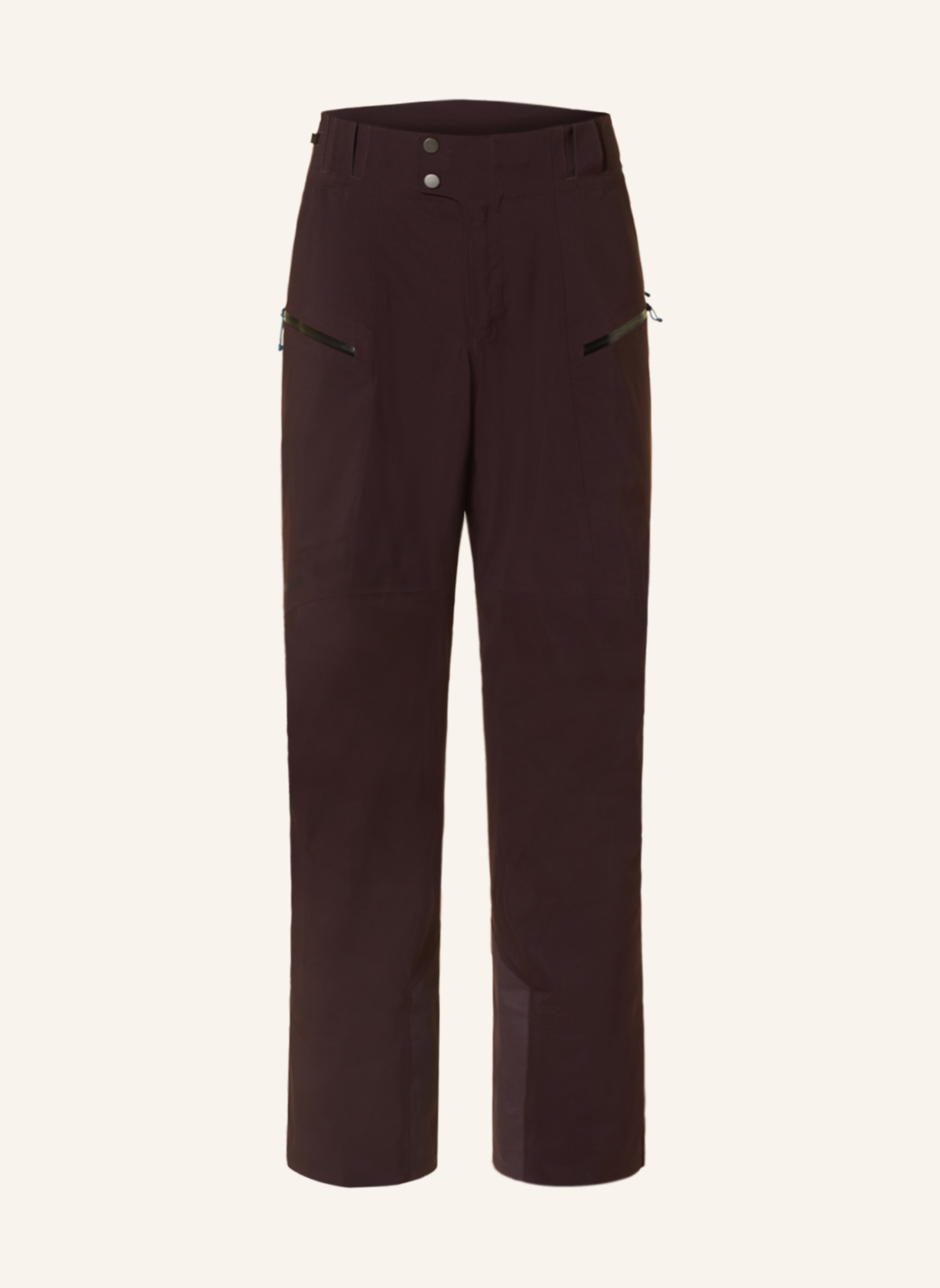 patagonia Skihose STORMSTRIDE