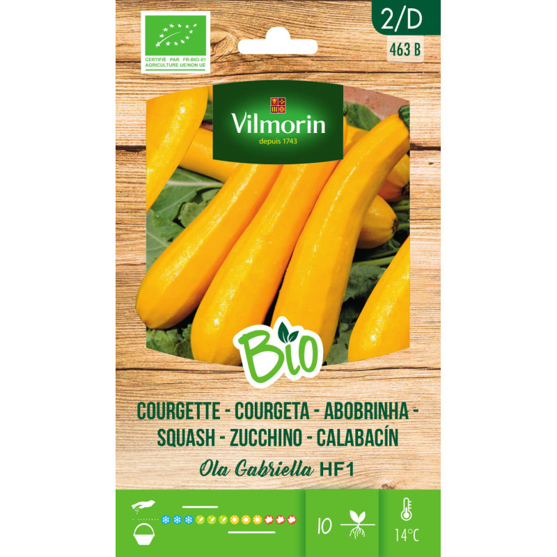 Semences de courgette Ola Gabriella F1 Bio VILMORIN