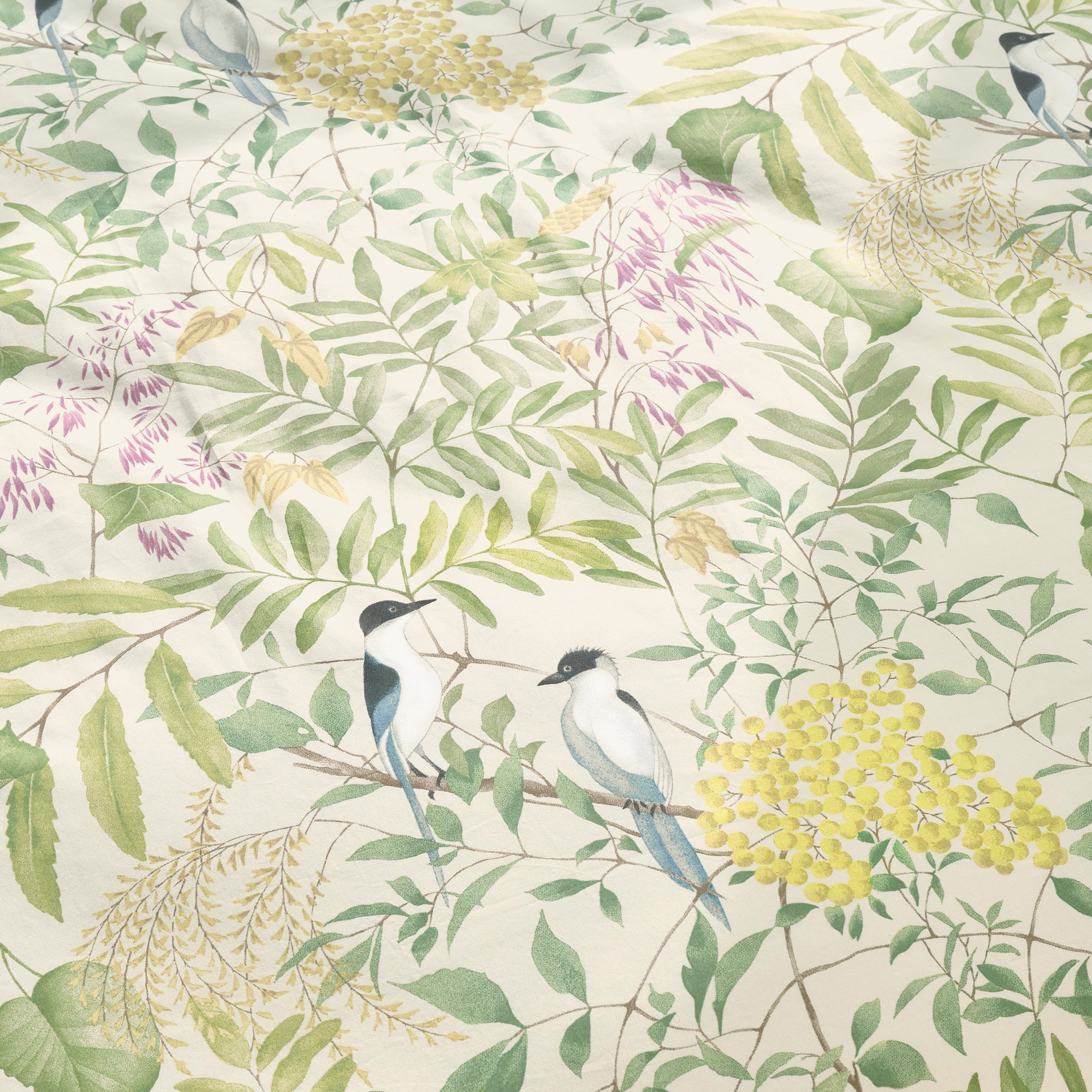 DrapJardin de bambous