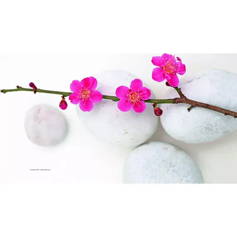 Tischset Tranquillity
