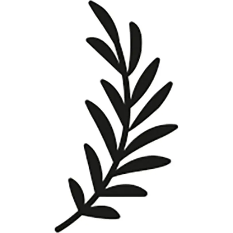 Karte Eukalyptus