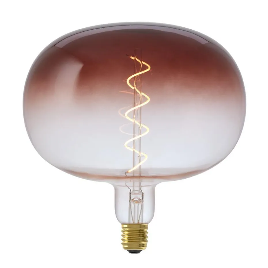 Kwantum Lichtbronnen | LED Lamp 22×22,5 Cm Bruin E27 Dimbaar