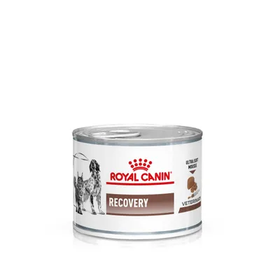 Royal Canin Veterinary Dog & Cat – Recovery Mousse