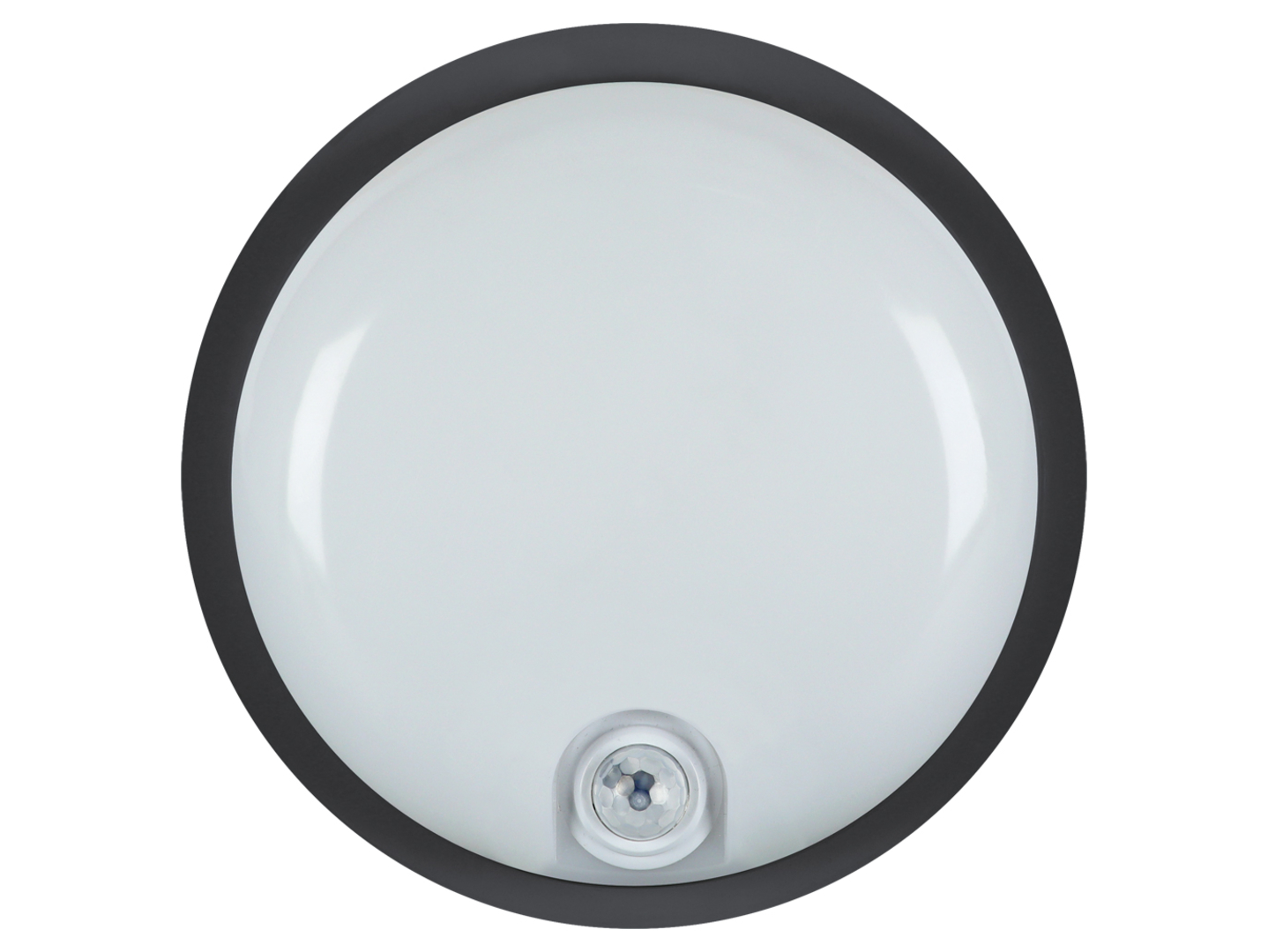 Kinkiet zewnętrzny Elias LED 22 cm z neutralną barwą światła czarny