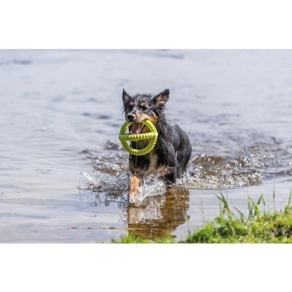 Hundespielzeug, Ø17 cm, schwimmt/floatable, TPR, lime