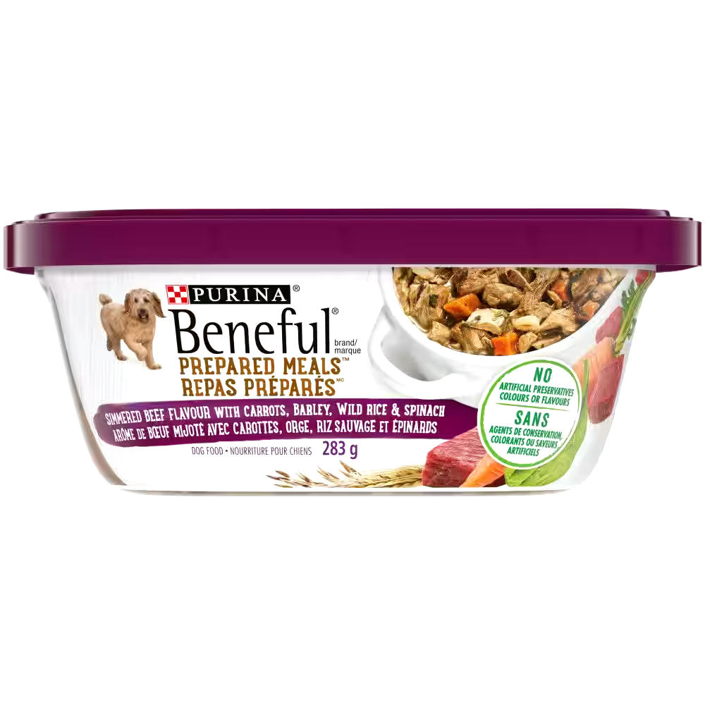 Purina® Beneful® Simmered Beef Flavour Wet Dog Food, 283-g