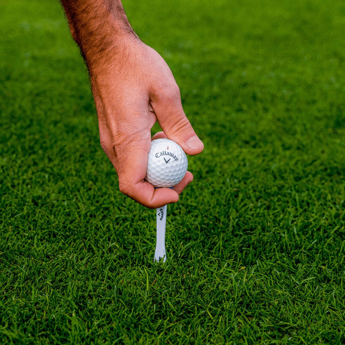 Par-Tee Quick Fix Performance Tees