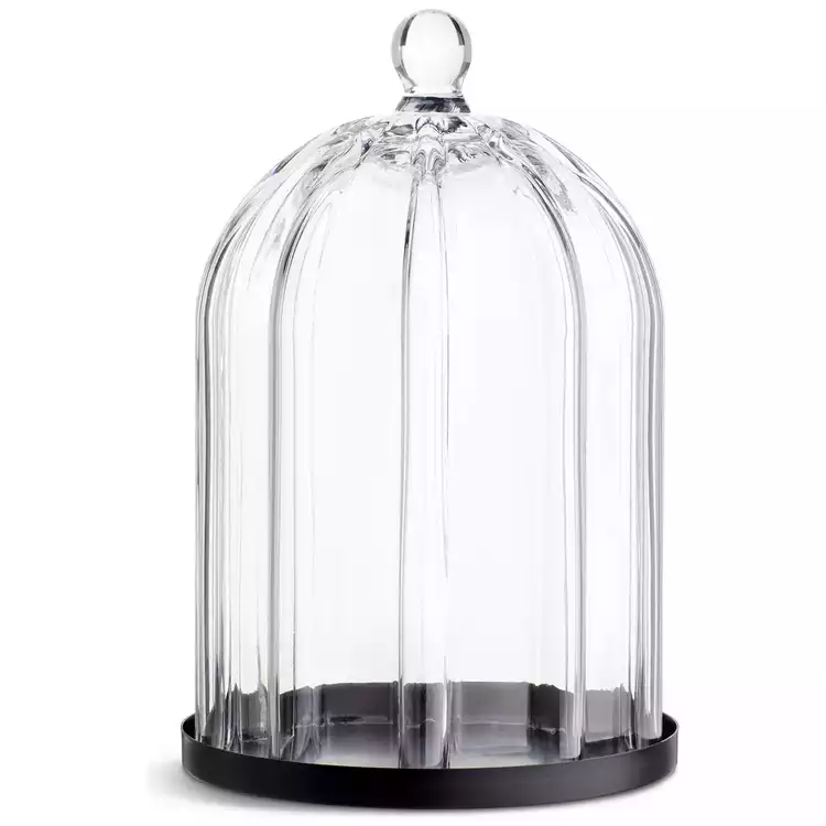 Habitat Ribbed Glass Cloche - Clear