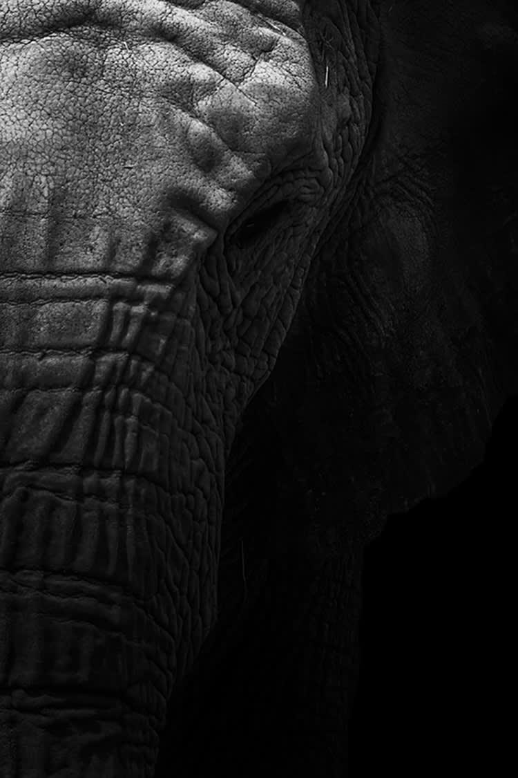 ÂME SENSIBLE - Photographie d'art de Guillaume Mordacq 30x45 cm sur alu