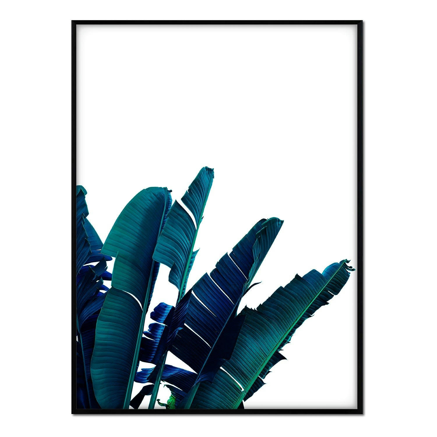 PALMERAS - Affiche avec cadre noir - Feuille de palmier sur fond blanc - 30x40
