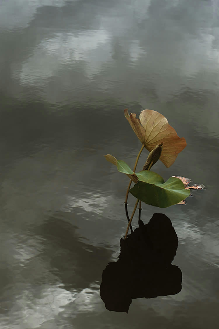 LE VENT - Photographie d'art de Zoé Pignolet 60x90 cm sur alu