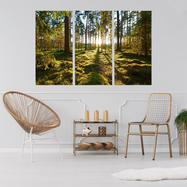 Obraz TRYPTYK Las Drzewa Słońce Natura 3D 60x40cm