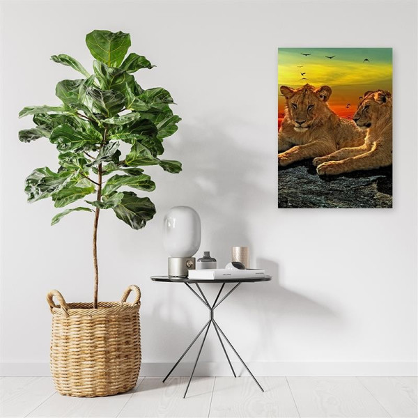Feeby Obraz na płótnie Lwy na sawannie 40x60
