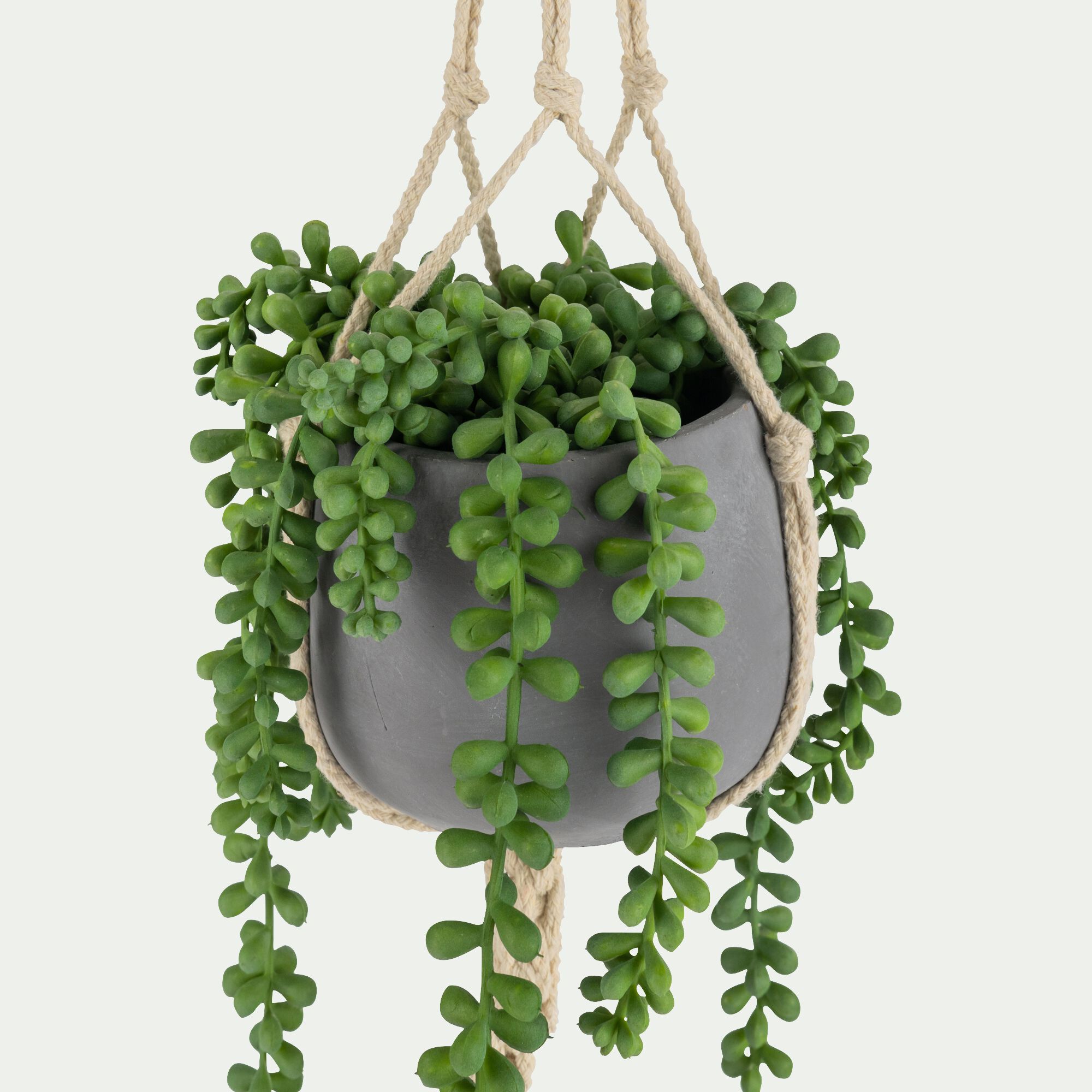 PELYE - Succulente suspendue artificielle - vert H73cm