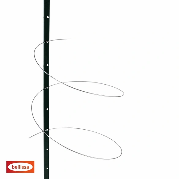 Pflanzstab »Timo«, LxH: 3 x 180 cm, Silber