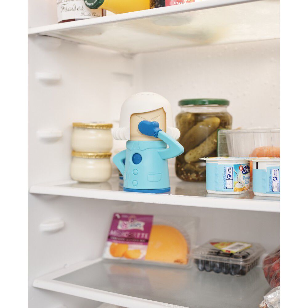Désodorisant pour frigo Cool Mama