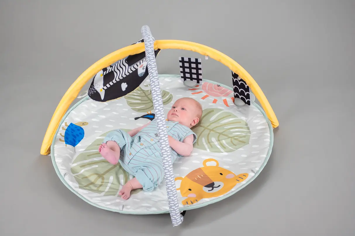 Spielmatte Taf Toys