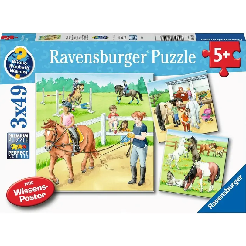 Puzzle 3er-Set Ein Tag auf dem Reiterhof