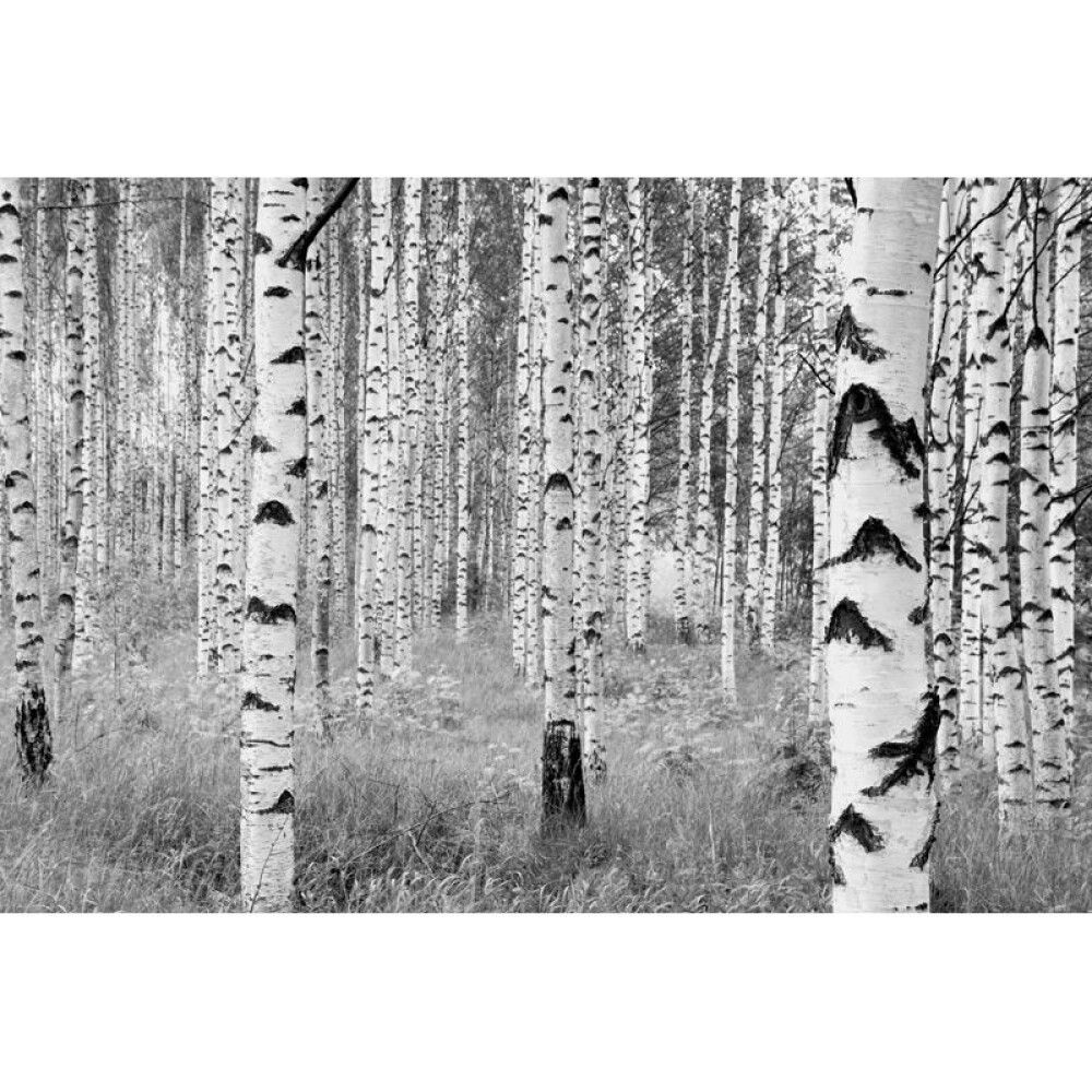 FOTOTAPET KOMAR WOODS 368X248CM