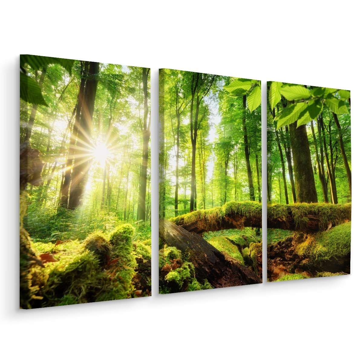 Obraz 3-Częściowy Widok Na Słoneczny Las 3D 60x40cm