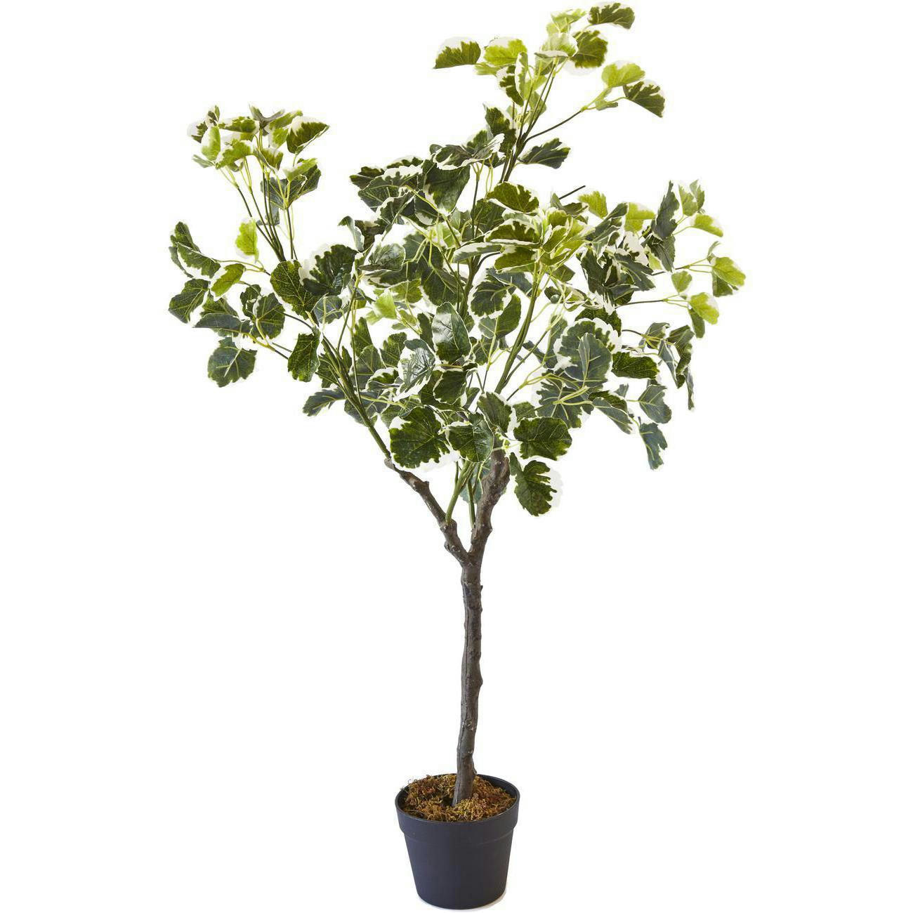 OLLA - Plante artificielle polyethylène H115cm