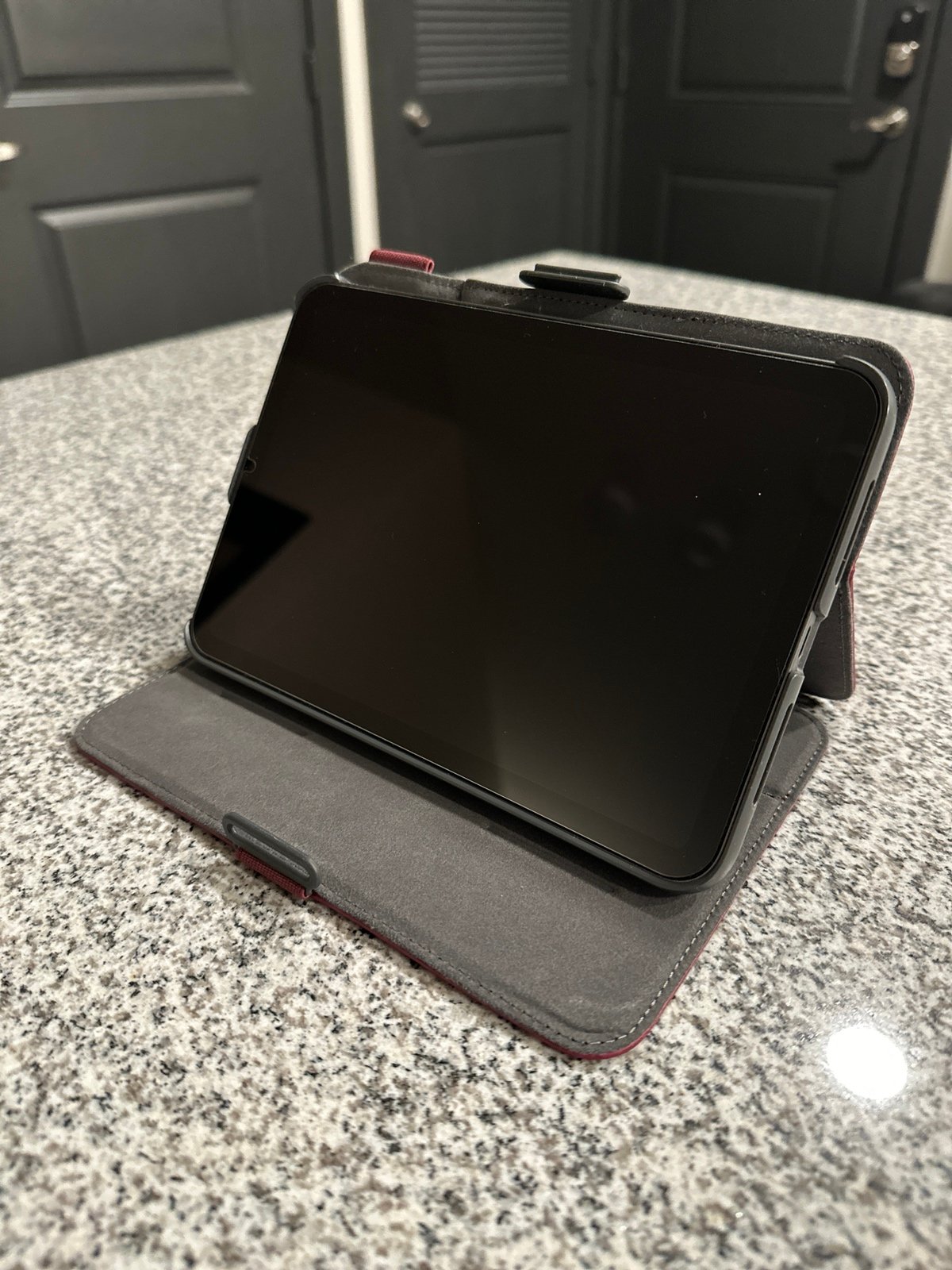 Barely Used iPad Mini 6th Gen 256G Space Gray with Case