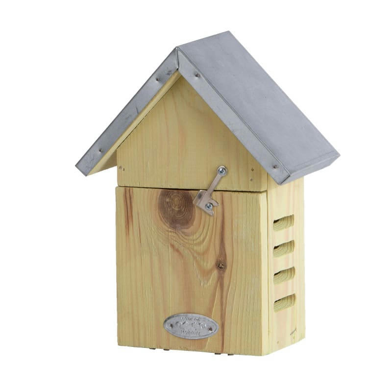 - Abri à Coccinelles