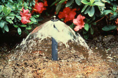Rain Bird Flower Bubbler