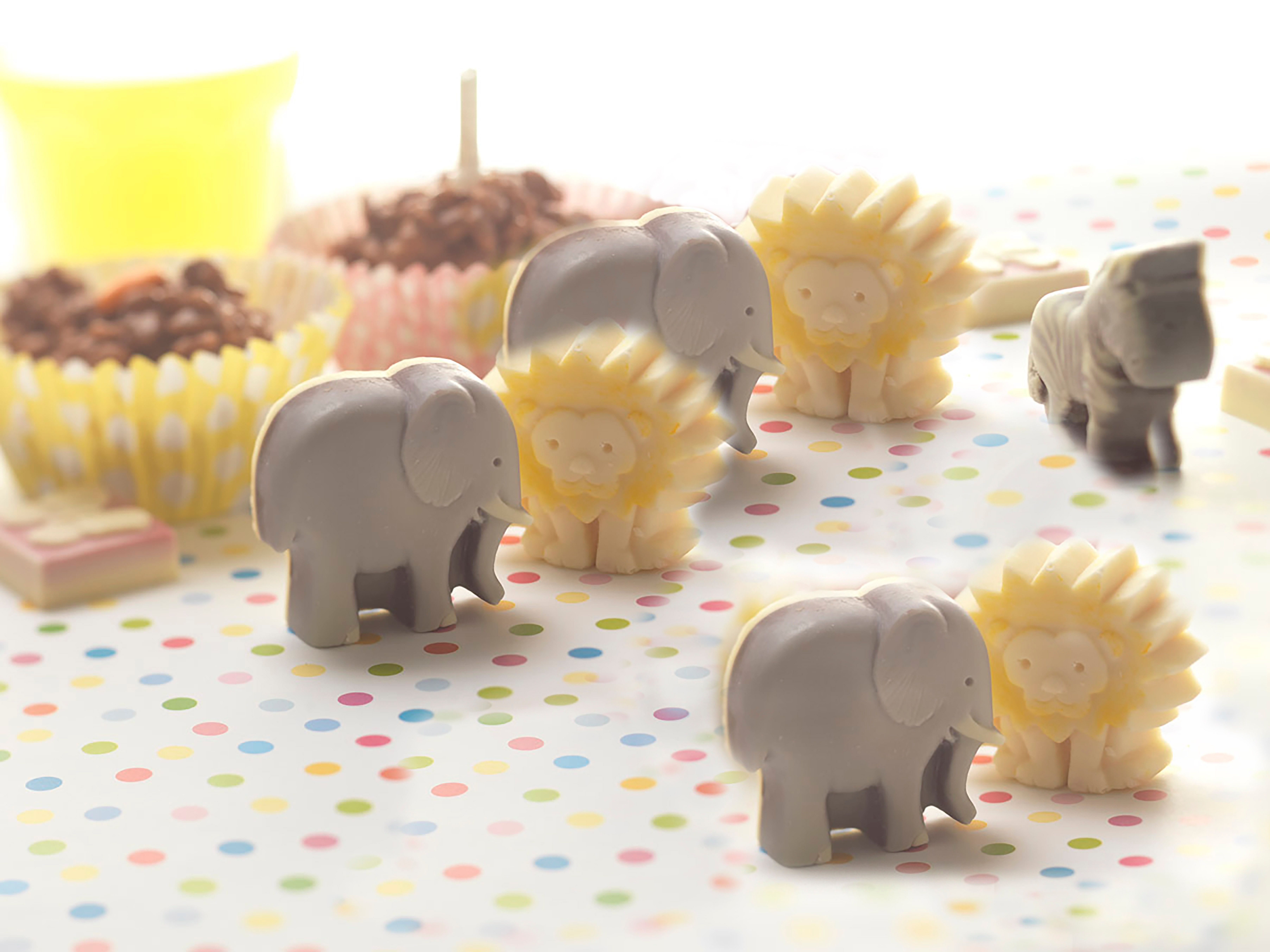 CHOC ON CHOC Lion, Zebra, Elephant And Monkey Chocolate Box