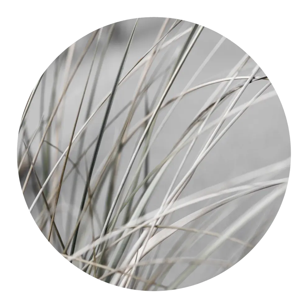 Kunstdruck Circle