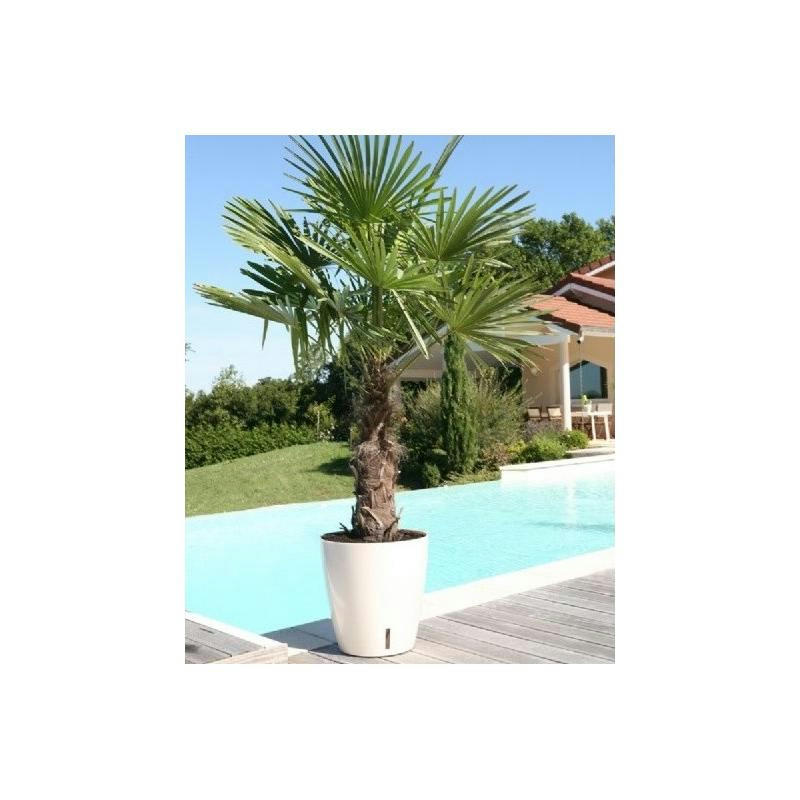 - Pot en plastique rond avec réserve d'eau 35 cm eva blanc