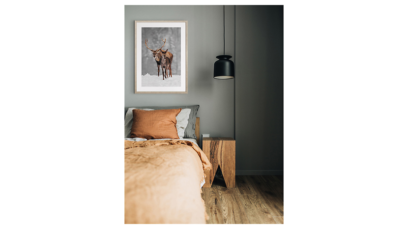 Obraz w ramie Deers Walk 53x73 cm