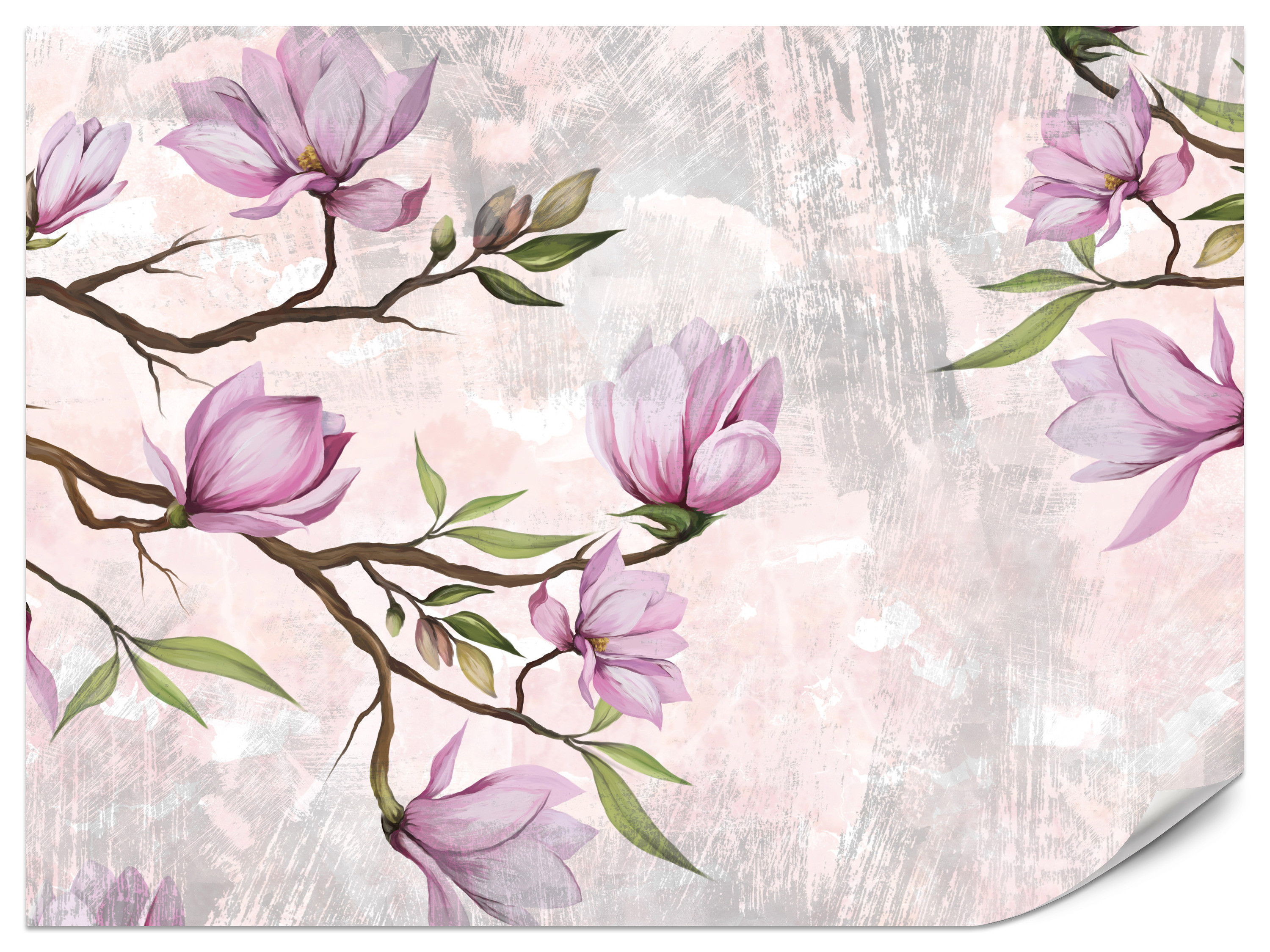 Fototapeta Kwiaty magnolii 100x70cm