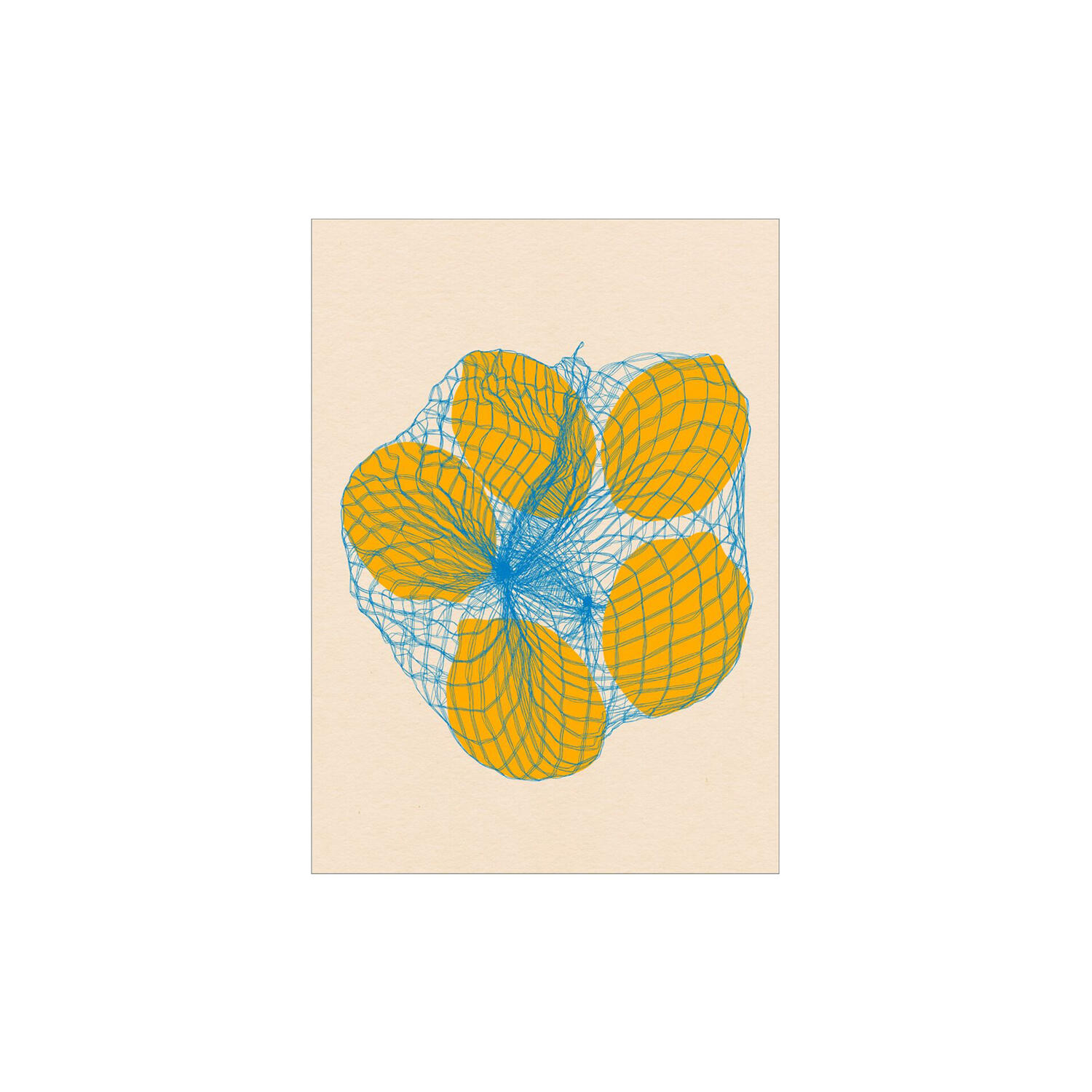 Five Lemons in a Net Bag