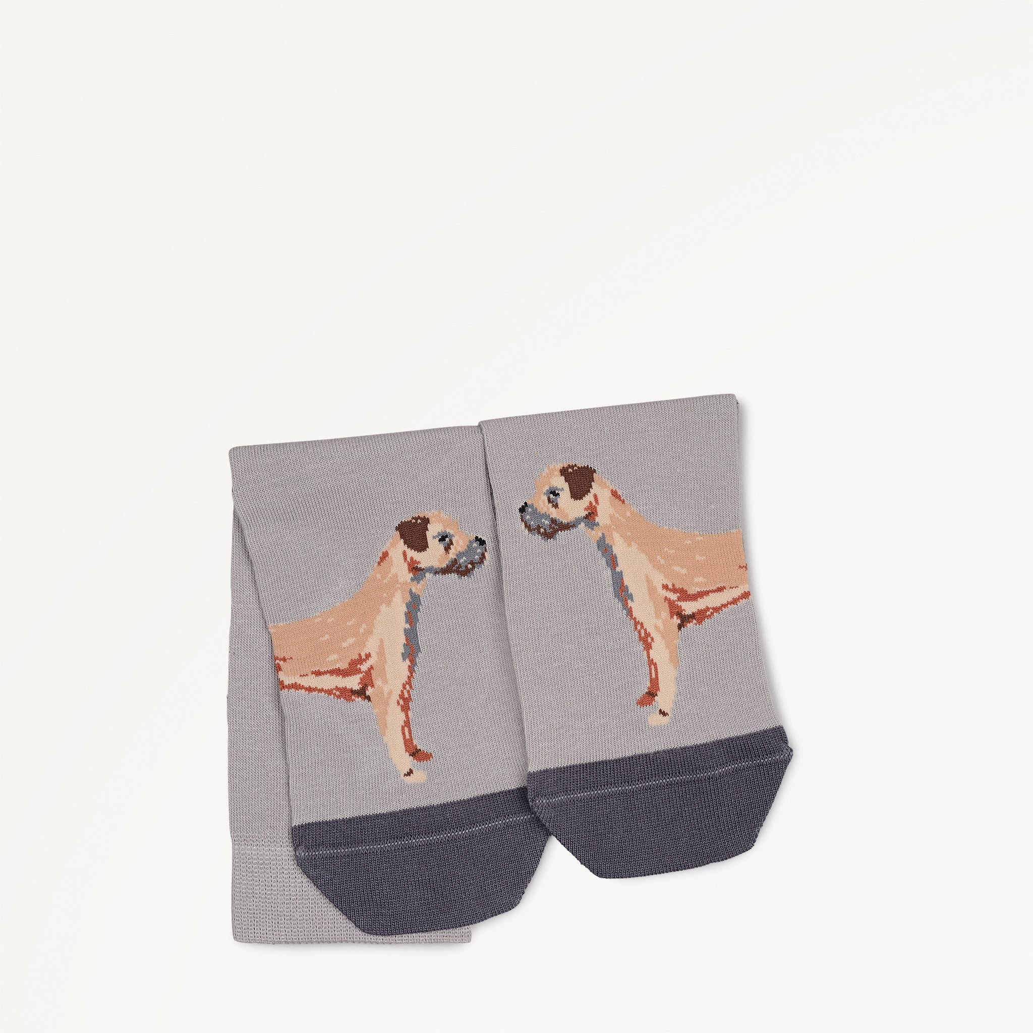 Radley & Friends - 1 Pack Socks