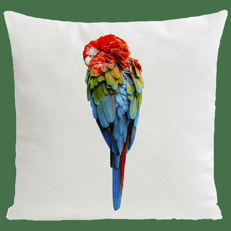 - Coussin tropical perroquet suédine blanc 40x40cm